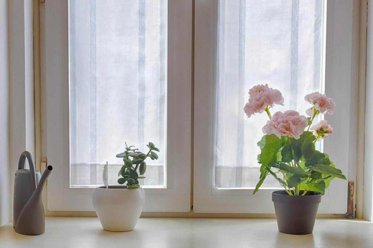 Mihaela Apartment - Charme Near The Station Τεργέστη Εξωτερικό φωτογραφία
